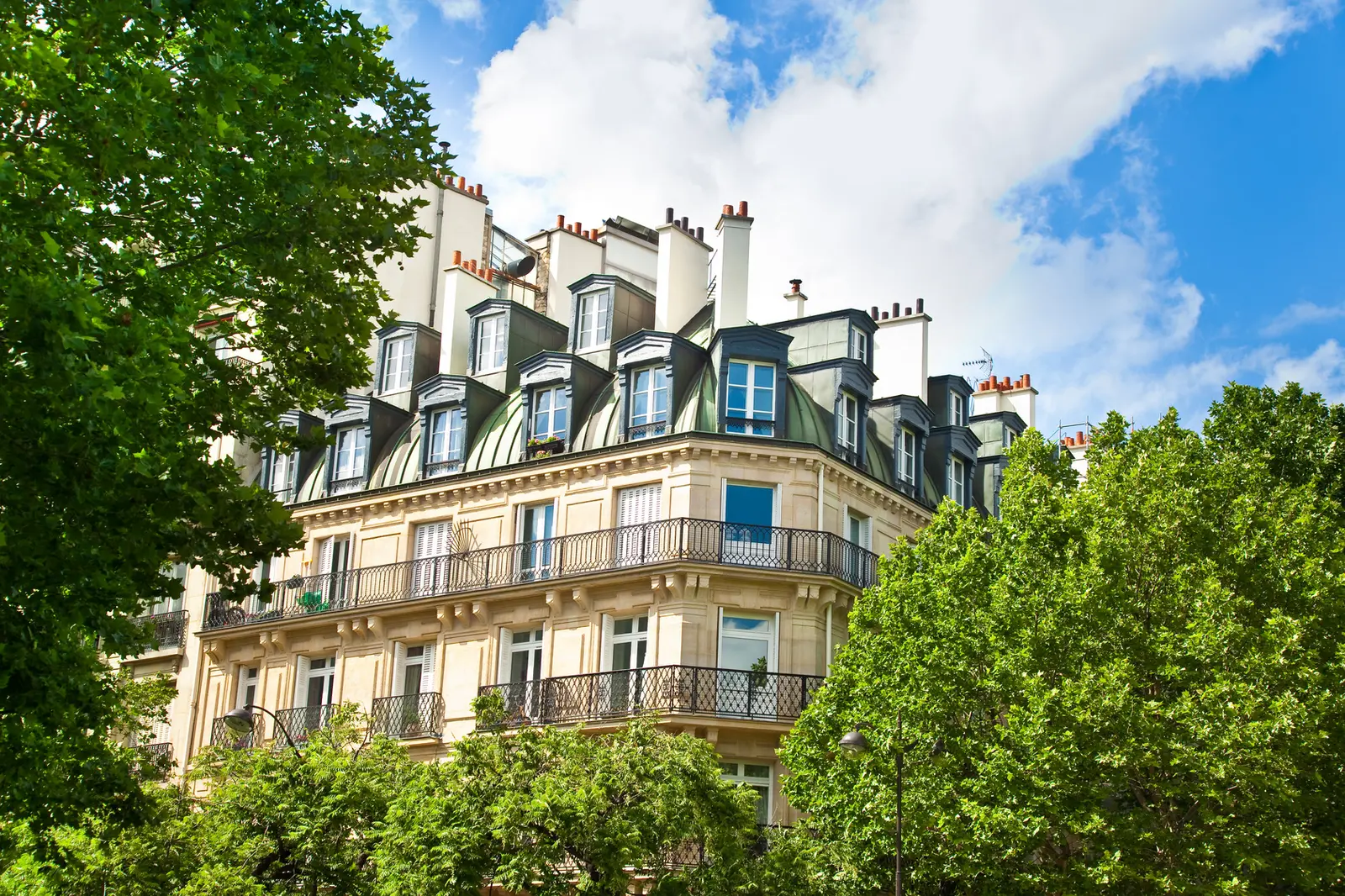 A Haussmann corner building with a slate mansard roof, framed by trees.